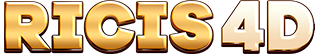 RICIS4D